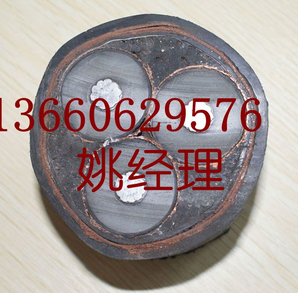 廣東珠江冠纜電線(xiàn)