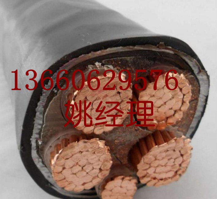 廣東珠江冠纜電線(xiàn)電纜