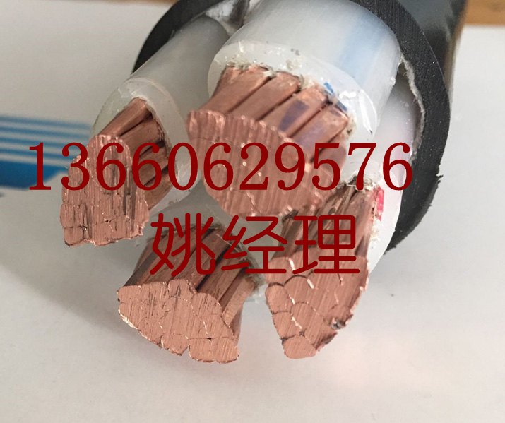 廣東珠江冠纜電線(xiàn)電纜